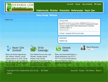 Tablet Screenshot of istanbulcim.com